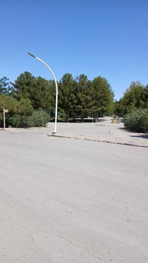 عکس بوستان بانوان گلایل