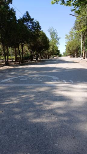 عکس بوستان بانوان گلایل