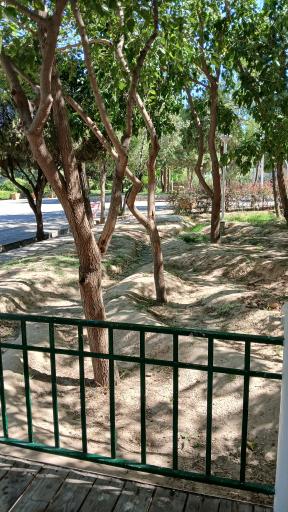 عکس بوستان بانوان گلایل