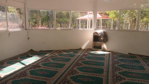 عکس بوستان بانوان گلایل