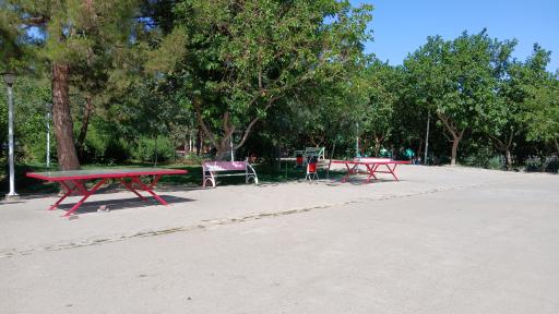 عکس بوستان بانوان گلایل