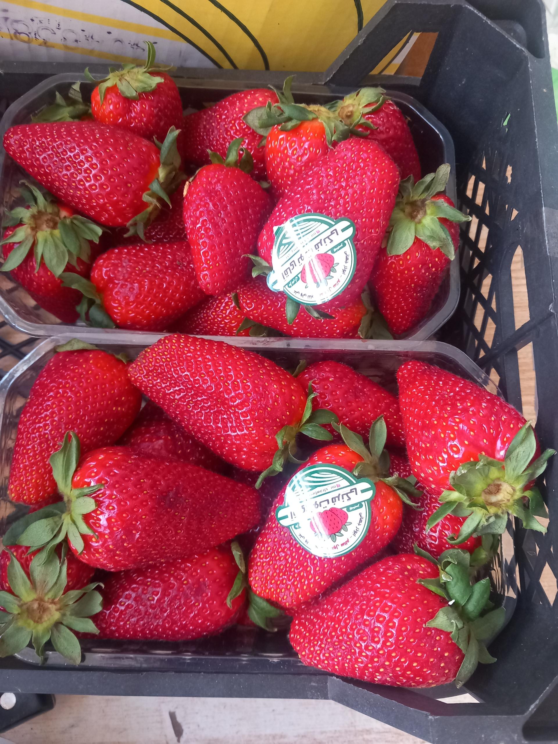 عکس میوه فروشی