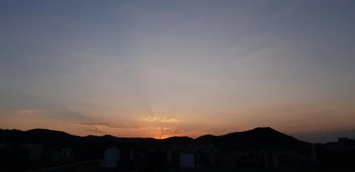 عکس تپه نیاوران