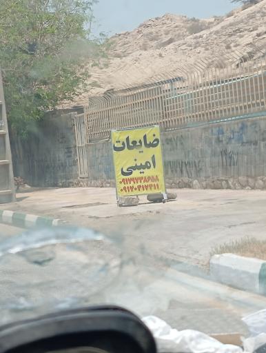 عکس ضایعاتی امینی