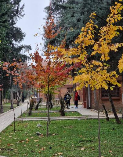 عکس بوستان ولایت