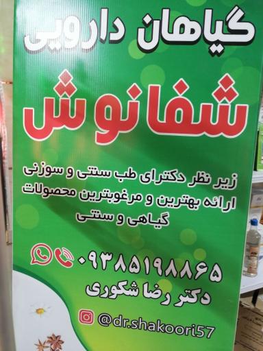 عکس گیاهان دارویی شفانوش شکوری