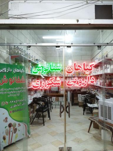 عکس گیاهان دارویی شفانوش شکوری