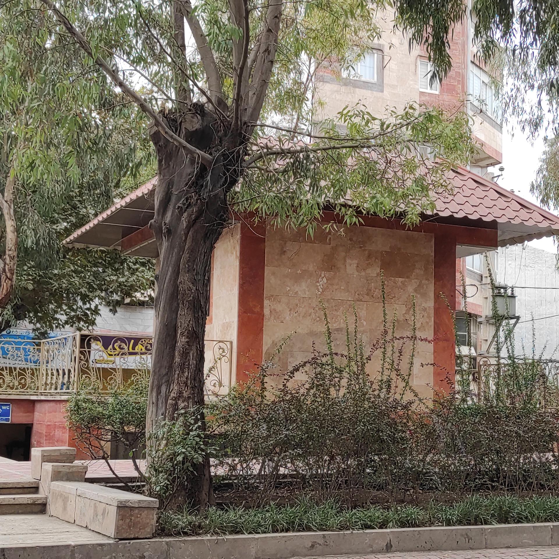 عکس سرویس بهداشتی