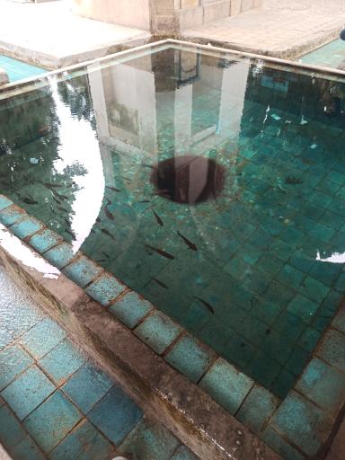 عکس حوض جوش