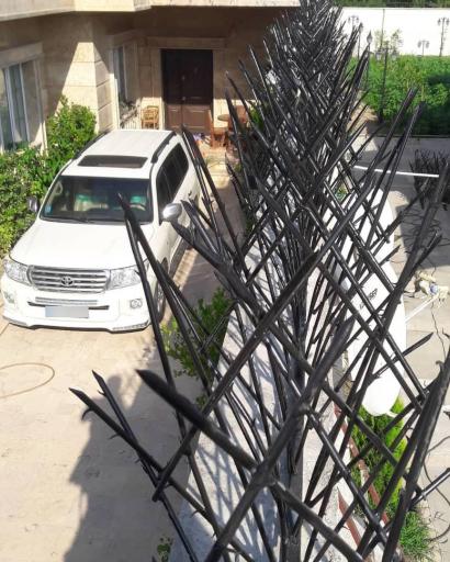 عکس شاخ گوزنی و درب آکاردئونی مهندس غلامی