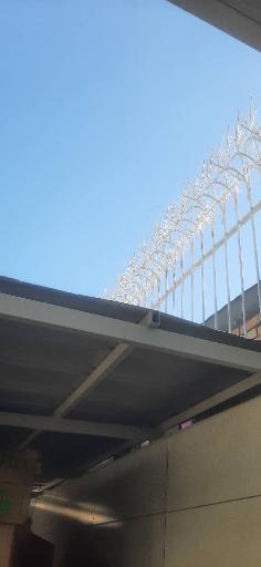 عکس شاخ گوزنی و درب آکاردئونی مهندس غلامی