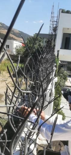 عکس شاخ گوزنی و درب آکاردئونی مهندس غلامی