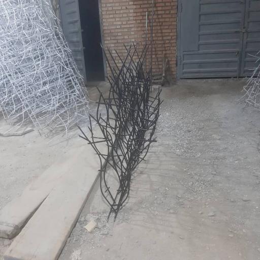 عکس شاخ گوزنی و درب آکاردئونی مهندس غلامی