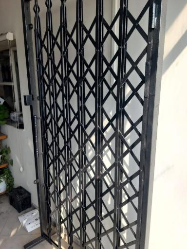 عکس شاخ گوزنی و درب آکاردئونی مهندس غلامی