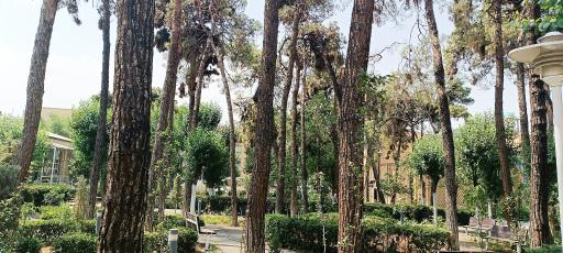 عکس دانشگاه خوارزمی