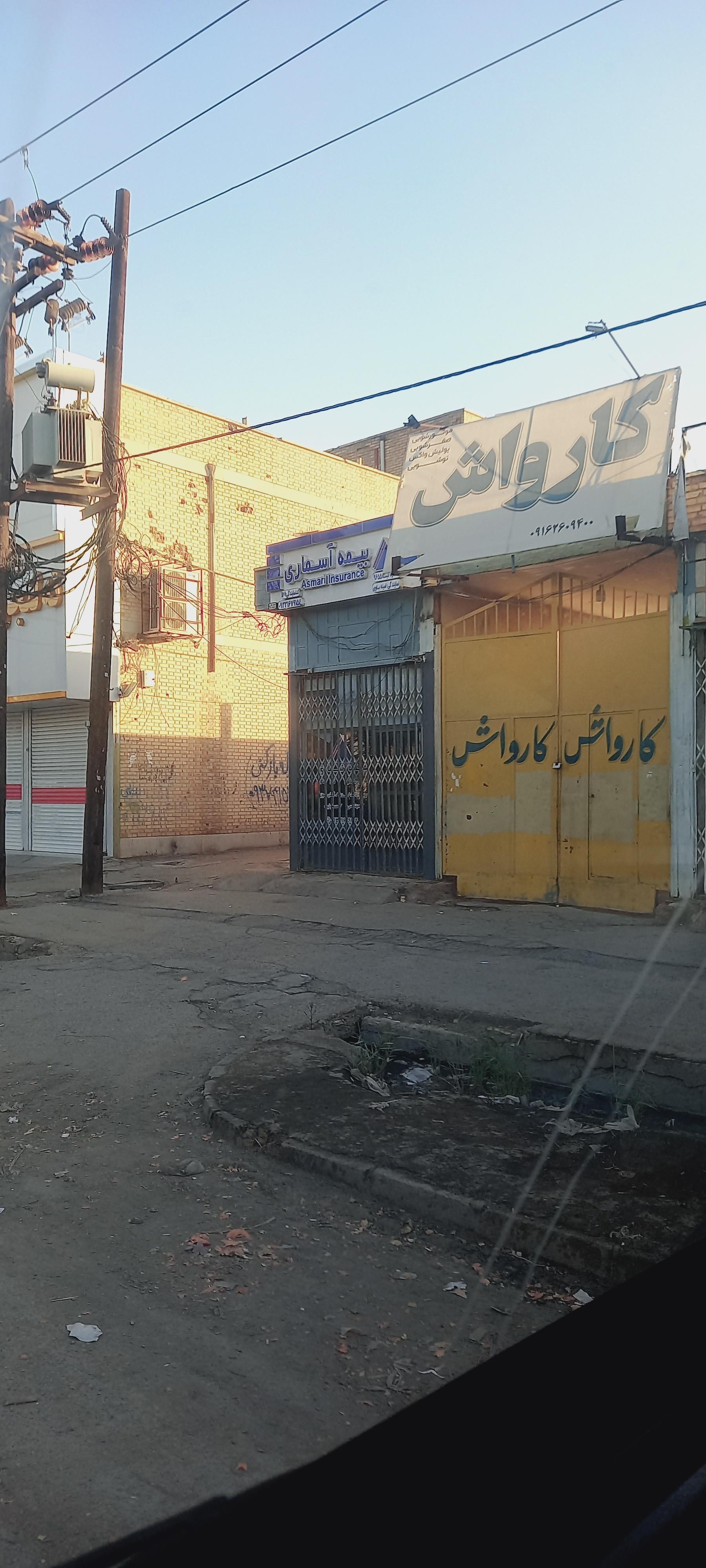 عکس کارواش دلفین