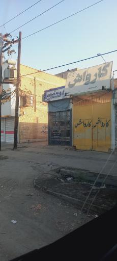 عکس کارواش دلفین