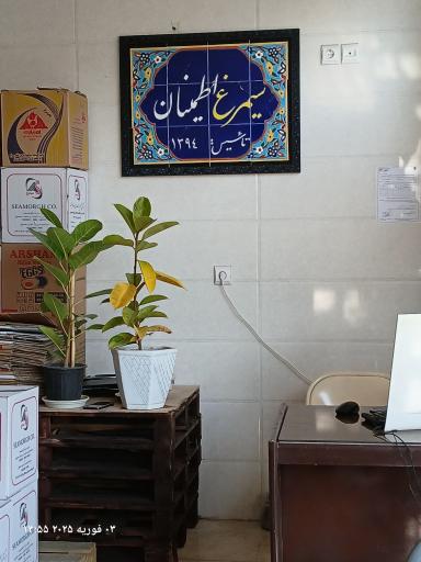 دفتر پخش و فروش تخم مرغ اطمینان (۲)