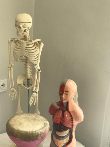 موسسه استعدادیابی ابر سفید