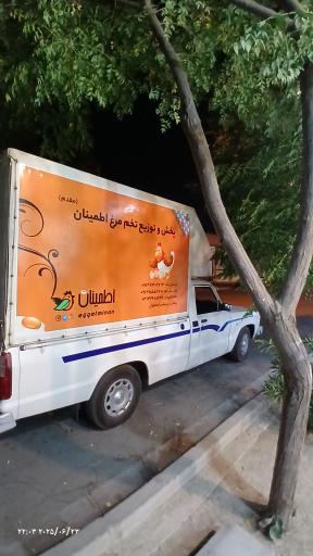 دفتر پخش و فروش تخم مرغ اطمینان (۲)