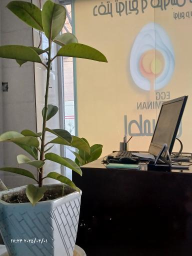 عکس دفتر پخش و فروش تخم مرغ اطمینان (۲)
