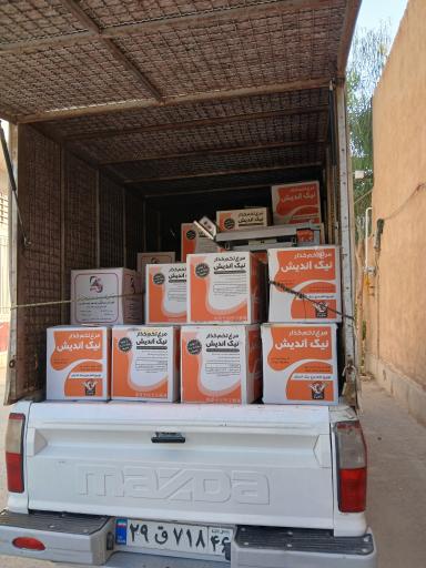 دفتر پخش و فروش تخم مرغ اطمینان (۱)