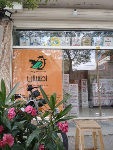 عکس دفتر پخش و فروش تخم مرغ اطمینان (۱)