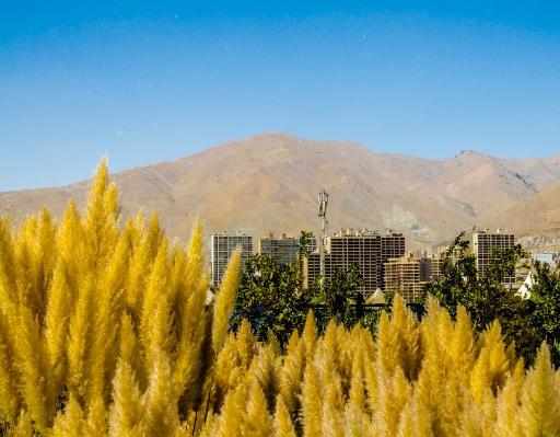عکس ساختمان سعدی