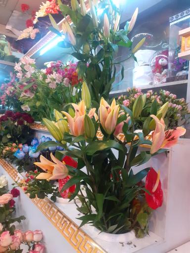 عکس فروشگاه گل فرحناز