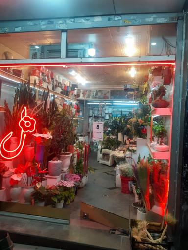 عکس فروشگاه گل فرحناز