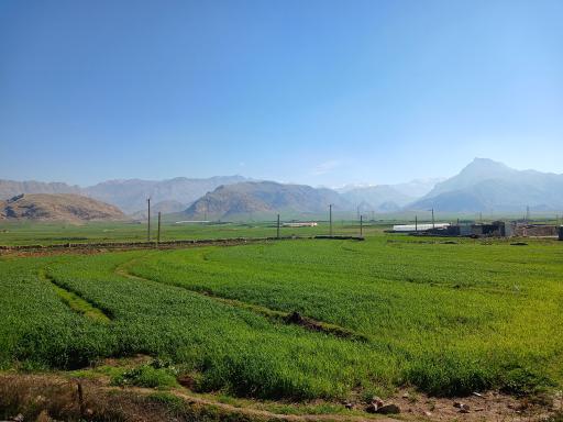 عکس قلعه تل