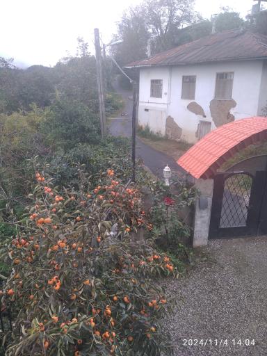 عکس کتالم و سادات شهر