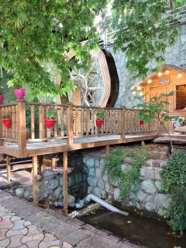 عکس شرکت نهال ماساژ شعبه علمی کاربردی