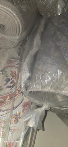 عکس قالیشویی علامه 