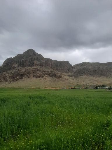 عکس قلعه تل