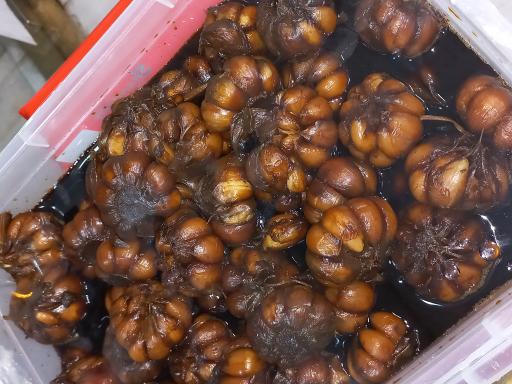 زیتون نصیری