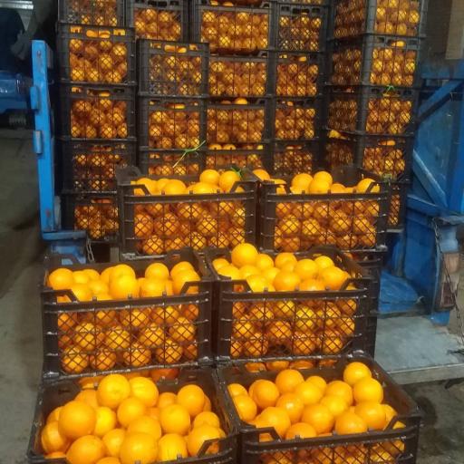 عکس بار فروشی میر عظیمی