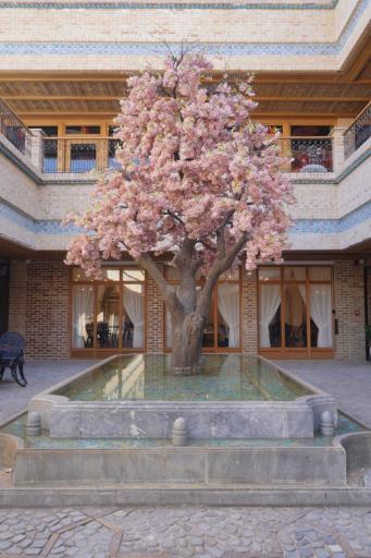 عکس رستوران کاشانچی