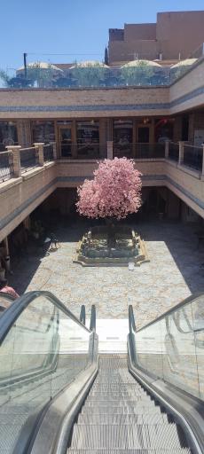 عکس رستوران کاشانچی