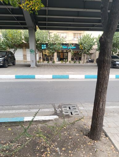 عکس کافه کتاب طاها