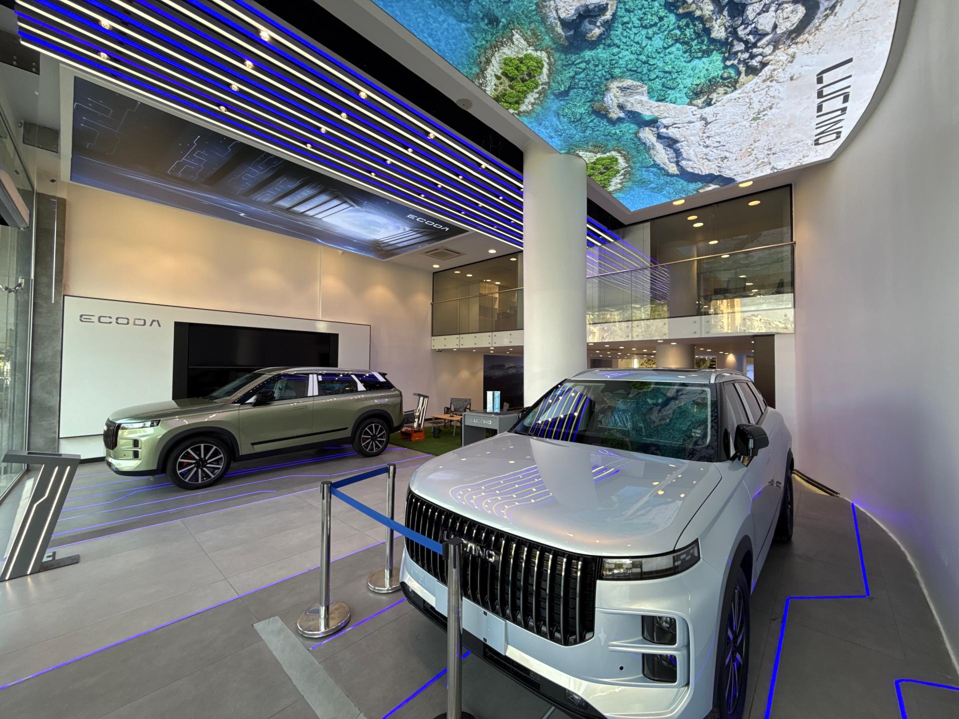 عکس نمایندگی رسمی لوکانو 