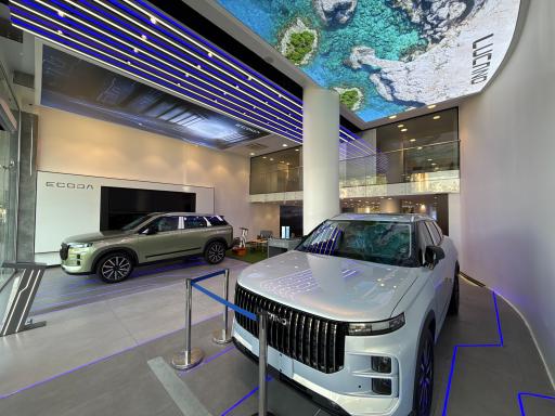 عکس نمایندگی رسمی لوکانو 