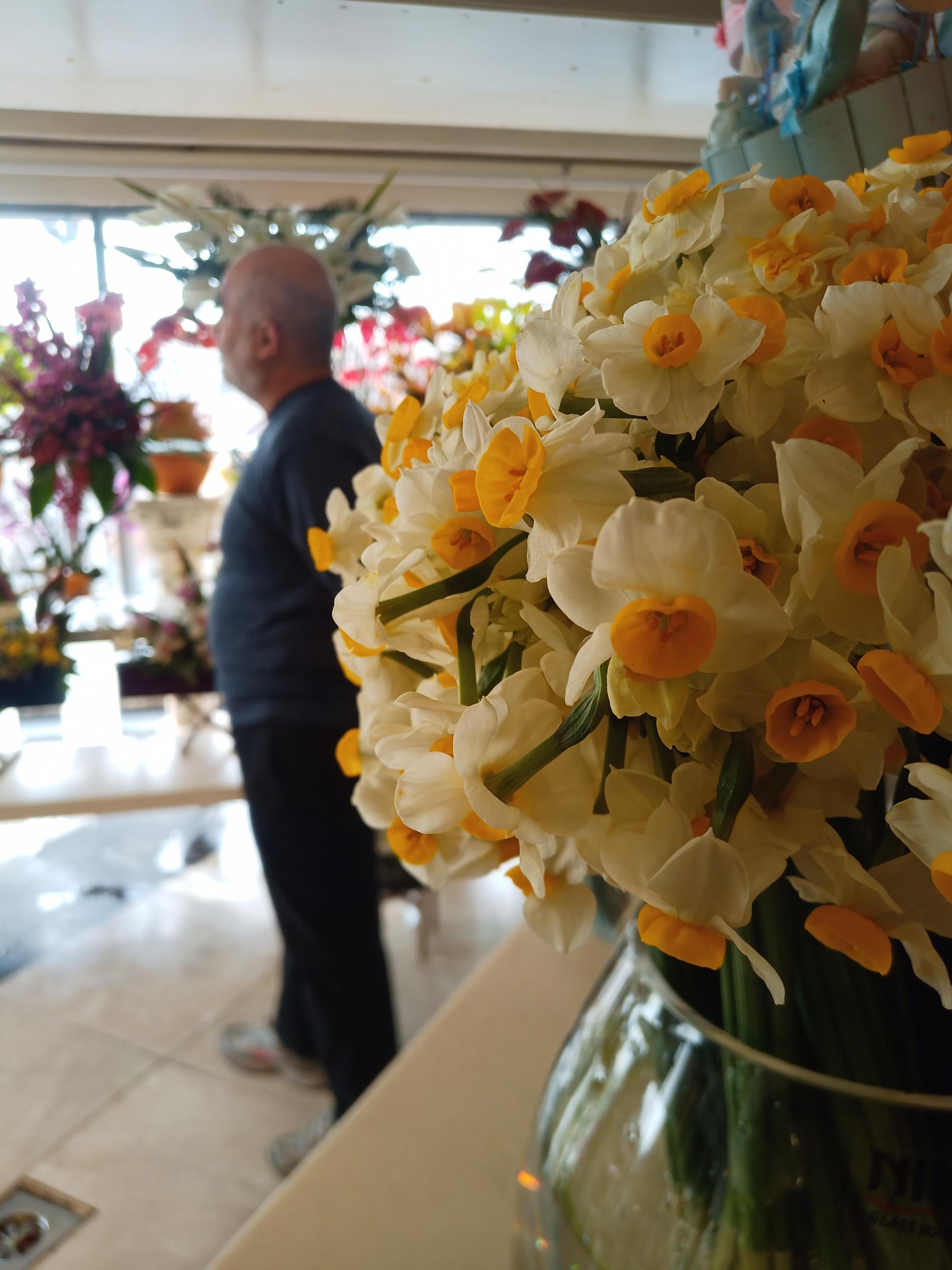 عکس گل پارک قیطریه