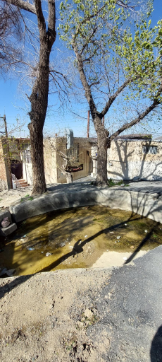 عکس مسجد ویدرخت