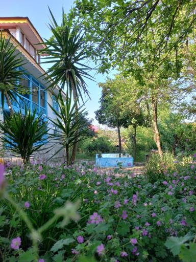 عکس اقامتگاه بومگردی مختار