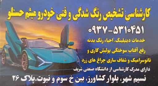 تشخیص رنگ میثم حسنلو 