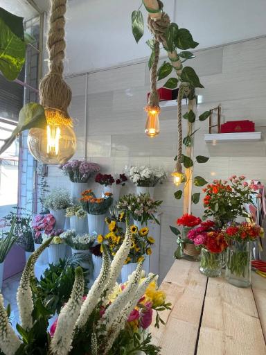 عکس گل فروشی خانم گل