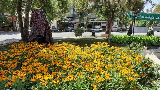 عکس میدان تختی (سعدآباد)