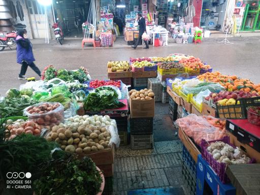 عکس میوه تره بار ترابی