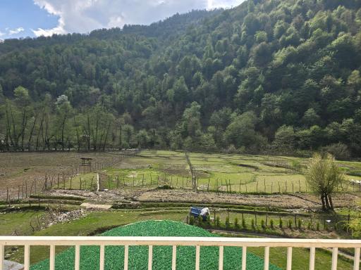 عکس هتل آریانا